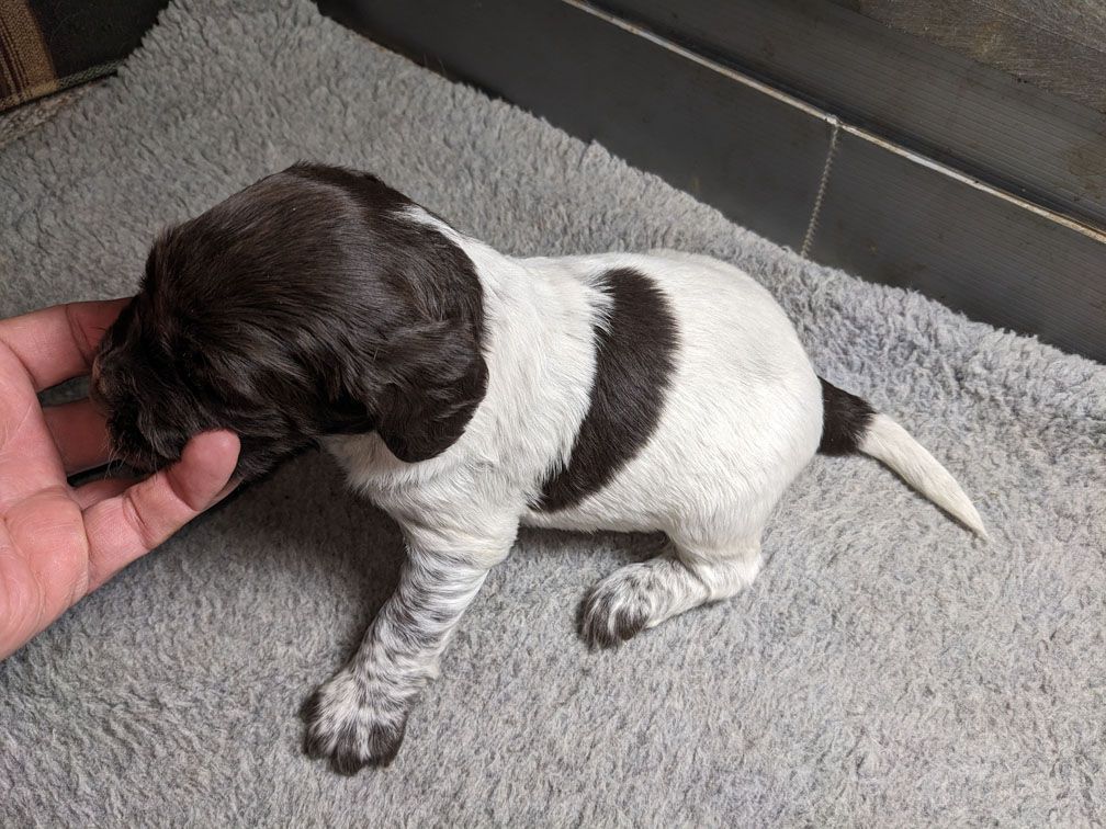 E3 three weeks female1_2