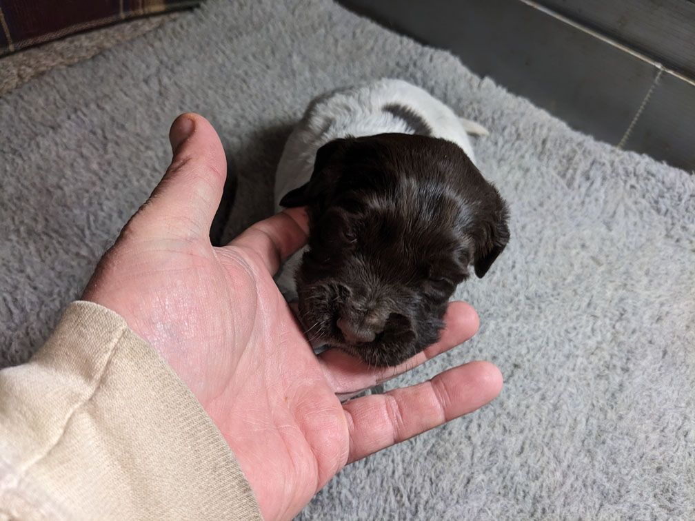 E3 three weeks female1_4