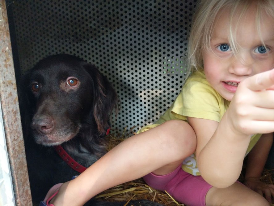 Splash and Adah in the Dog Trailer
